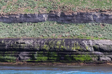 Stratified cliff face rising from the blue ocean in Iceland