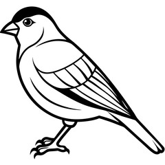 Obraz premium vector illustration of a bird