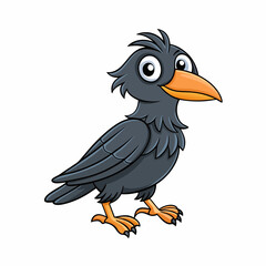 toucan isolated on white background