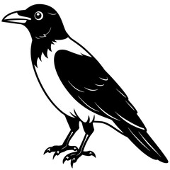 Vector illustration of a crow on a branch with a white background, showcasing wildlife and nature in a simple and cute style