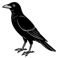 Black crow silhouette perched on a branch in a wintery nature scene