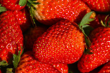 pile of ripe strawberries in the box, Red background of ripe strawberries. Close up, top view. Texture of sweet fresh strawberry as background, closeup, natural lighting in field. organic quality.