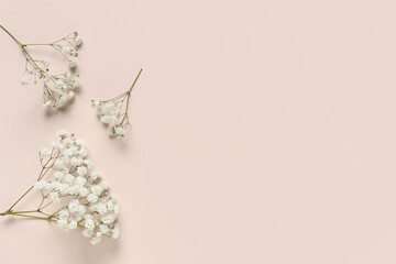 Beautiful composition with gypsophila flowers on beige background