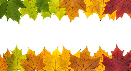 Fototapeta premium Autumn's Embrace AI Generated