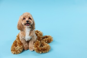 Cute dog with shiny tinsel on light blue background. Space for text