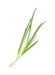 Fresh green onions isolated on white, top view