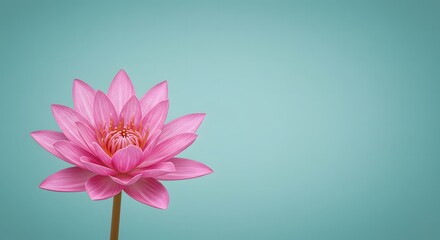 Obraz premium Pink Lotus on Blue Background – Symbol of Serenity in Stock Photo