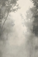Ethereal Mists Enshroud the Whispering Woods: A Dreamlike Ballet of Light and Mist Painting Nature