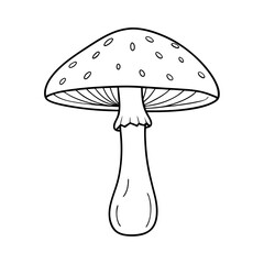 fly agaric mushroom illustration 