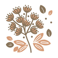 Anise Plant Illustration with Seeds and Leaves