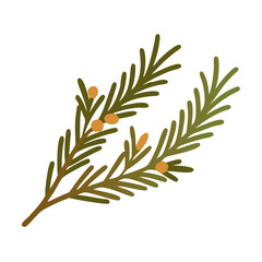 Rosemary Sprig Illustration with Berries