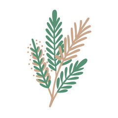 Minimalist Niaouli Leaves Illustration, Melaleuca Quinquenervia