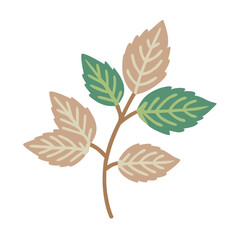 Obraz premium Stylized Mentha Arvensis Branch Illustration