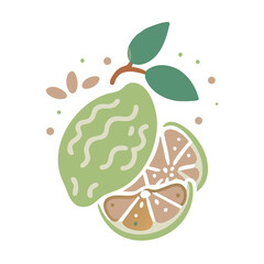 Stylized Lime Citrus Illustration with Slices