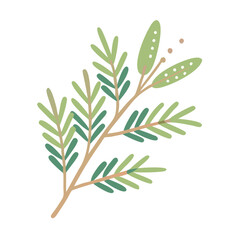 Kunzea Ambigua Branch Illustration, Minimalist Style