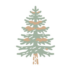 Stylized Taiwan Hinoki Tree Illustration