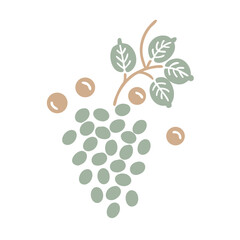 Grapeseed Illustration: Vitis Vinifera Seeds and Leaves