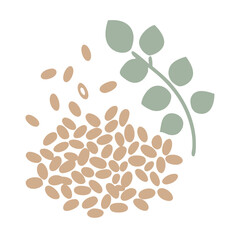 Fenugreek Seeds and Plant Illustration