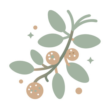 Elemi Canarium Luzonicum Resin Branch Illustration