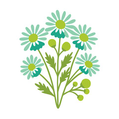 Stylized Chamomile Flower Bouquet Illustration