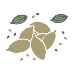 Cardamom Pods and Seeds Vector Illustration