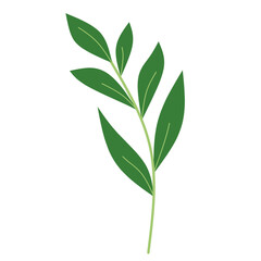 Leaf Branch, Tree Branch with leaves