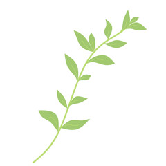 Leaf Branch, Tree Branch with leaves