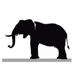 Fototapeta premium Majestic Elephant Silhouette Vector Art