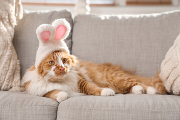 Cute cat in bunny ears lying on sofa in living room. Easter celebration