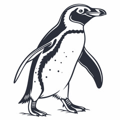 penguin vector illustration
