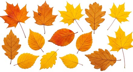 Autumn's Golden Hues AI Generated