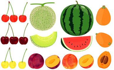 果物イラスト （スイカ、メロン等）