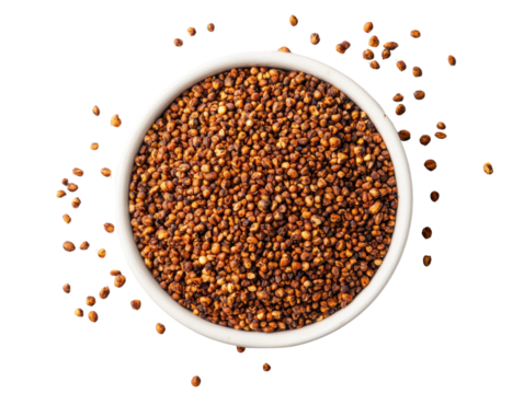 Cooking with condiment seeds food preparation kitchen cut out background bright environment close-up view