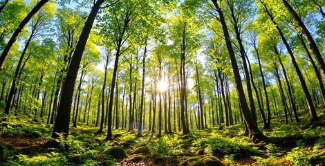 Fototapeta premium Tall green forest trees with sunburst light, photorealistic style, lush moss-covered ground, natural background, concept of peace and renewal. Ai generative