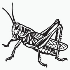 Art & Illustration