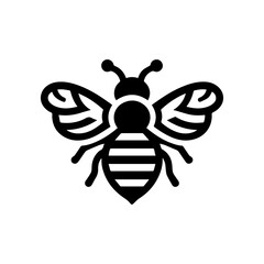 Honey bee logo icon with transparent background