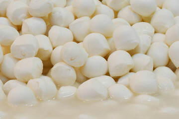 Fresh mozzarella balls displayed in a market for sale