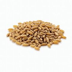 Obraz premium Pile of wheat grains isolated on white background. Close up.