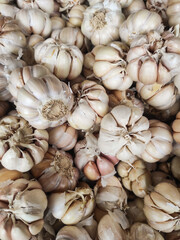 Group of white garlic stacked. Vegetable Backgrounds sold in traditional market shelves. Aromatic garlic spices. Texture and details. Vegetable Wallpapers. Pile of Onions. Copy space