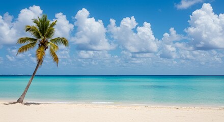 Solitary Palm Tree on Pristine White Sand Beach with Turquoise Ocean and Blue Sky