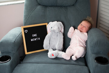 One-month-old newborn baby girl milestone monthly picture with a felt letter board and a stuffed toy for scale. Baby development concept. Happy healthy baby growing up. First year of infancy. 1 month 
