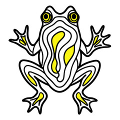 Frog on white background