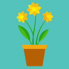 yellow flowers in a pot