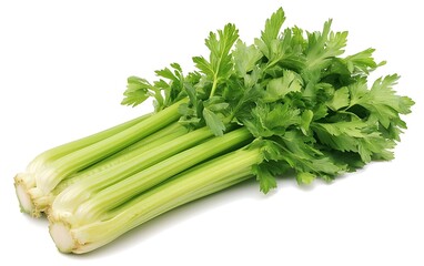 Fresh Celery Stalks with Green Vegetable Harvest.