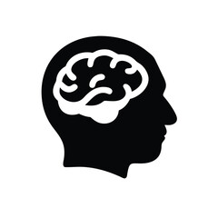 Profile View of a Human Head with a Visible Brain