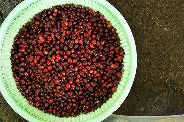 Fresh coffee bean in basket