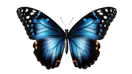 Fototapeta premium A Beautiful Butterfly with Colorful Wings, Isolated on a White Background, Delicate Insect in Nature