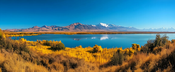 Obraz premium Photo of the Atacama Desert in Chile, with Lake Miscanti and mountains around it. The lake is surrounded by yellow vegetation. Blue sky.