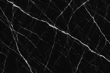 Dark Elegance: A striking pattern of dramatic white veining courses through a luxurious dark surface, the intricate natural textures and the light create a mesmerizing display of artistic beauty.