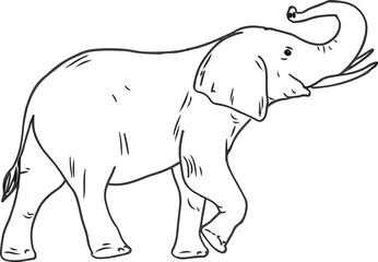  How to draw an Elephant step by step